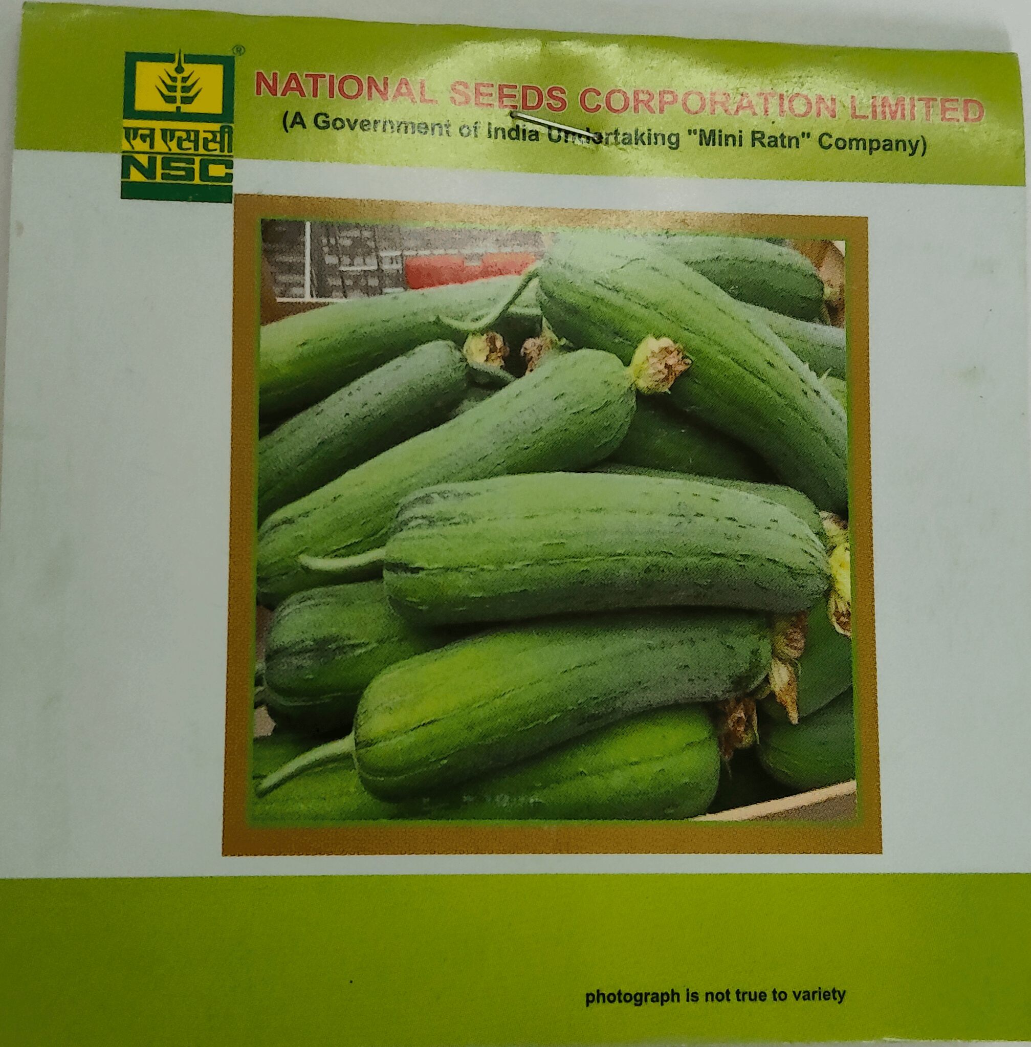 Sponge Gourd – Kashi Shreya
