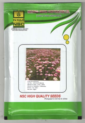 NSC Acroclinium T/L