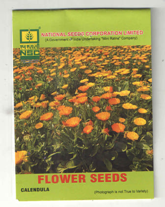 NSC Calendula T/L