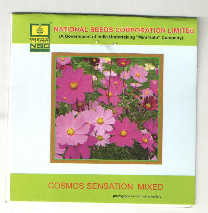 NSC COSMOS SENSATION MIXED