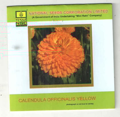 NSC Calendula Officinalis – Yellow Gitana (T/L)