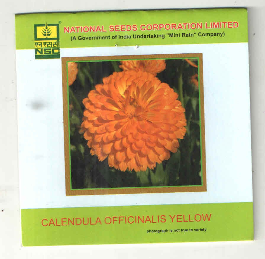 NSC Calendula Officinalis – Yellow Gitana (T/L)