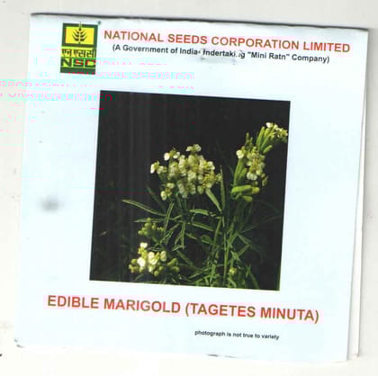 NSC Edible Marigold (T/L)