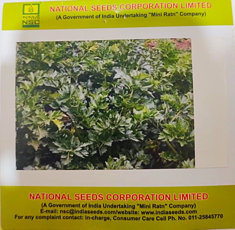 Celery Variety- Ford Hook Emperor