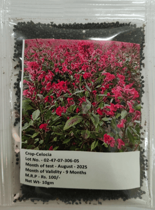 Celosia