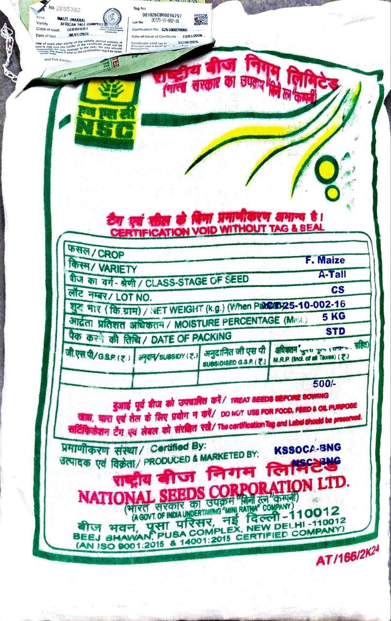 NSC Fodder Maize African Tall Variety, 5 Kg Certified Seed Bag