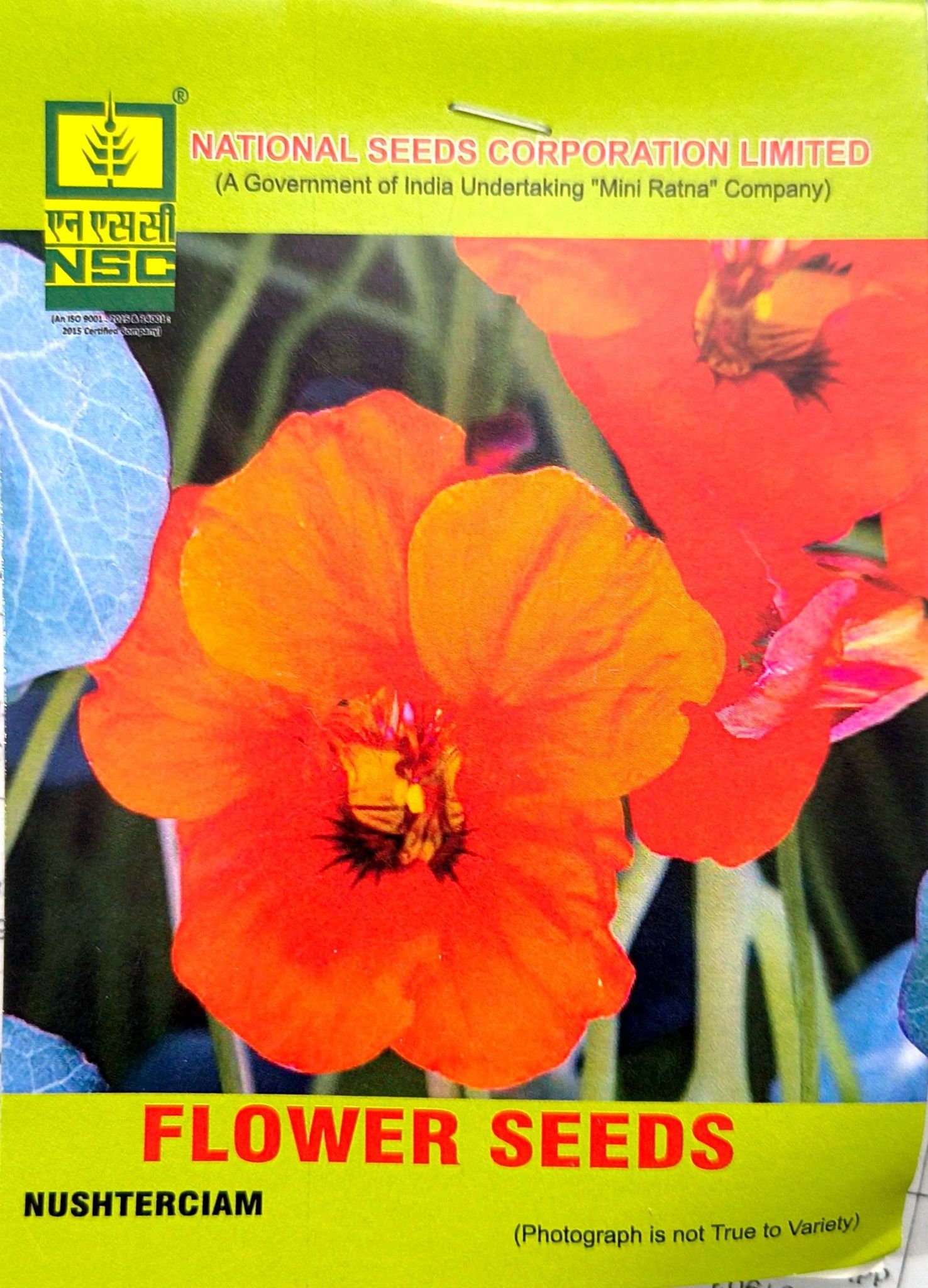 NSC NUSHTERCIAM FLOWER 5 GM PACK 