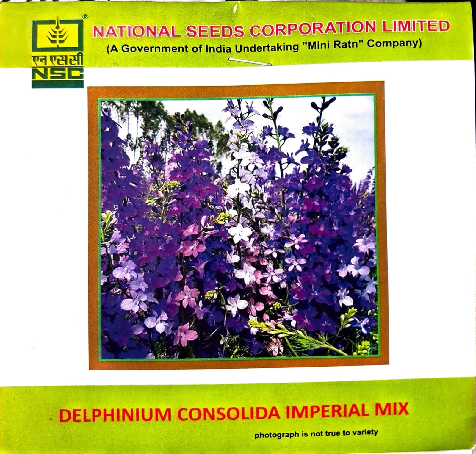 DELPHINIUM CONSOLIDA IMPERIAL MIX