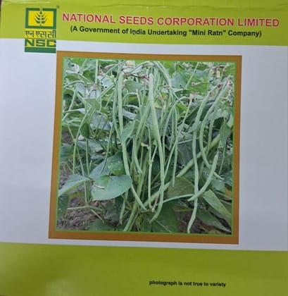 NSC COWPEA/ KASHI NIDHI TL 20 GM  