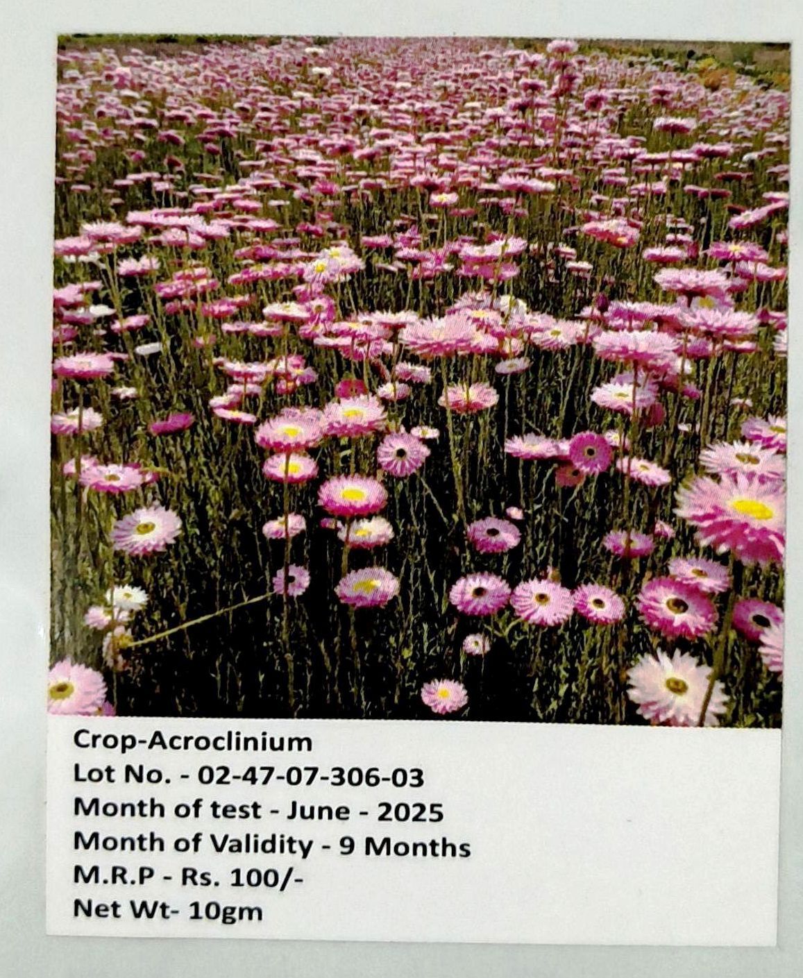 NSC ACROCLINIUM 10 GM PACK