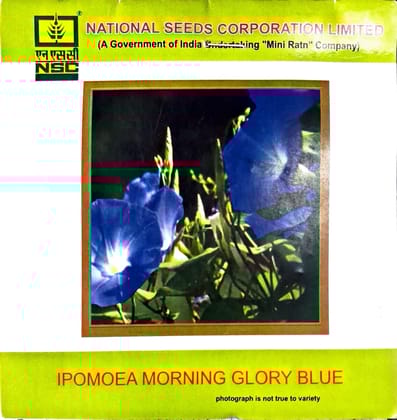 NSC FLOWER SEEDS- Ipomoea morning glory blue