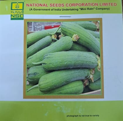 NSC SPOUNG GOURD VARIETY KASHI SHREYA TL 5 GM
