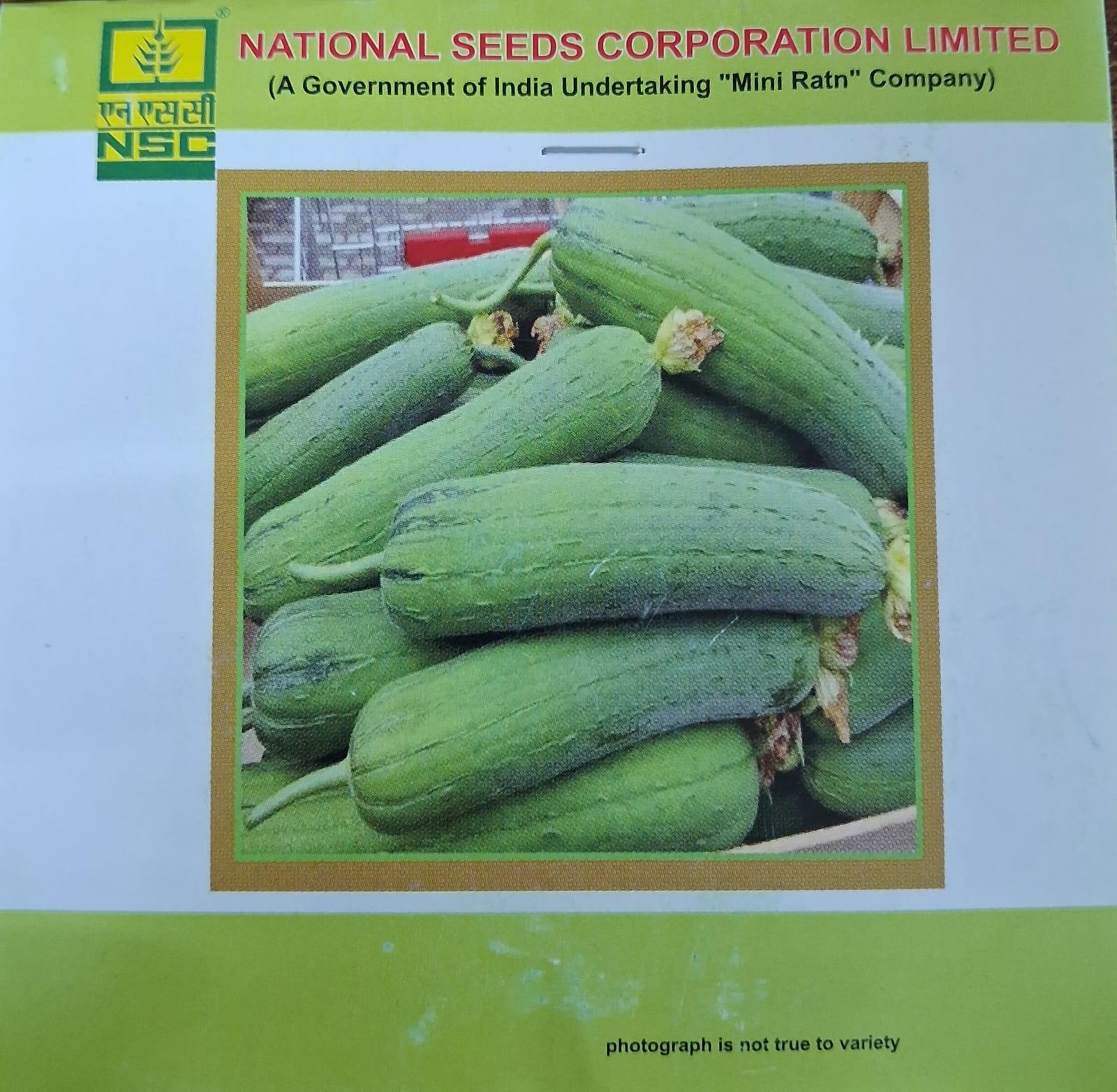 NSC SPOUNG GOURD VARIETY KASHI SHREYA TL 5 GM