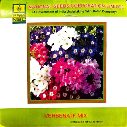 NSC Verbena IF Mix 3gram/TL Seeds