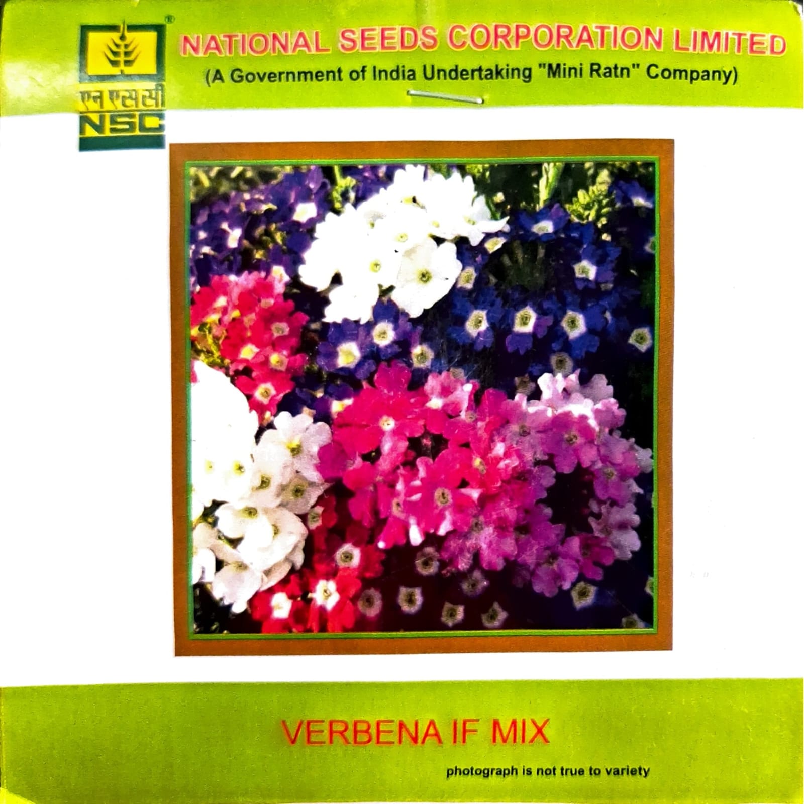 NSC Verbena IF Mix 3gram/TL Seeds