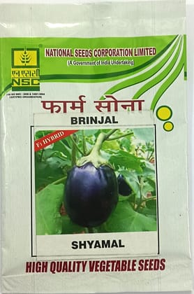 Brinjal,F1 Hybrid