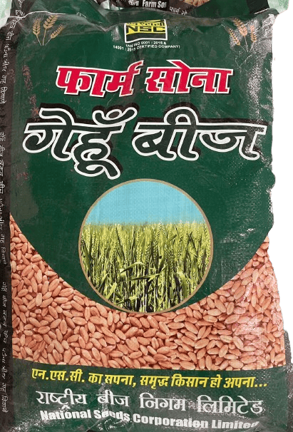 NSC Farm Sona Wheat Seeds (RAJ-4037) - 40kg Certified Quality