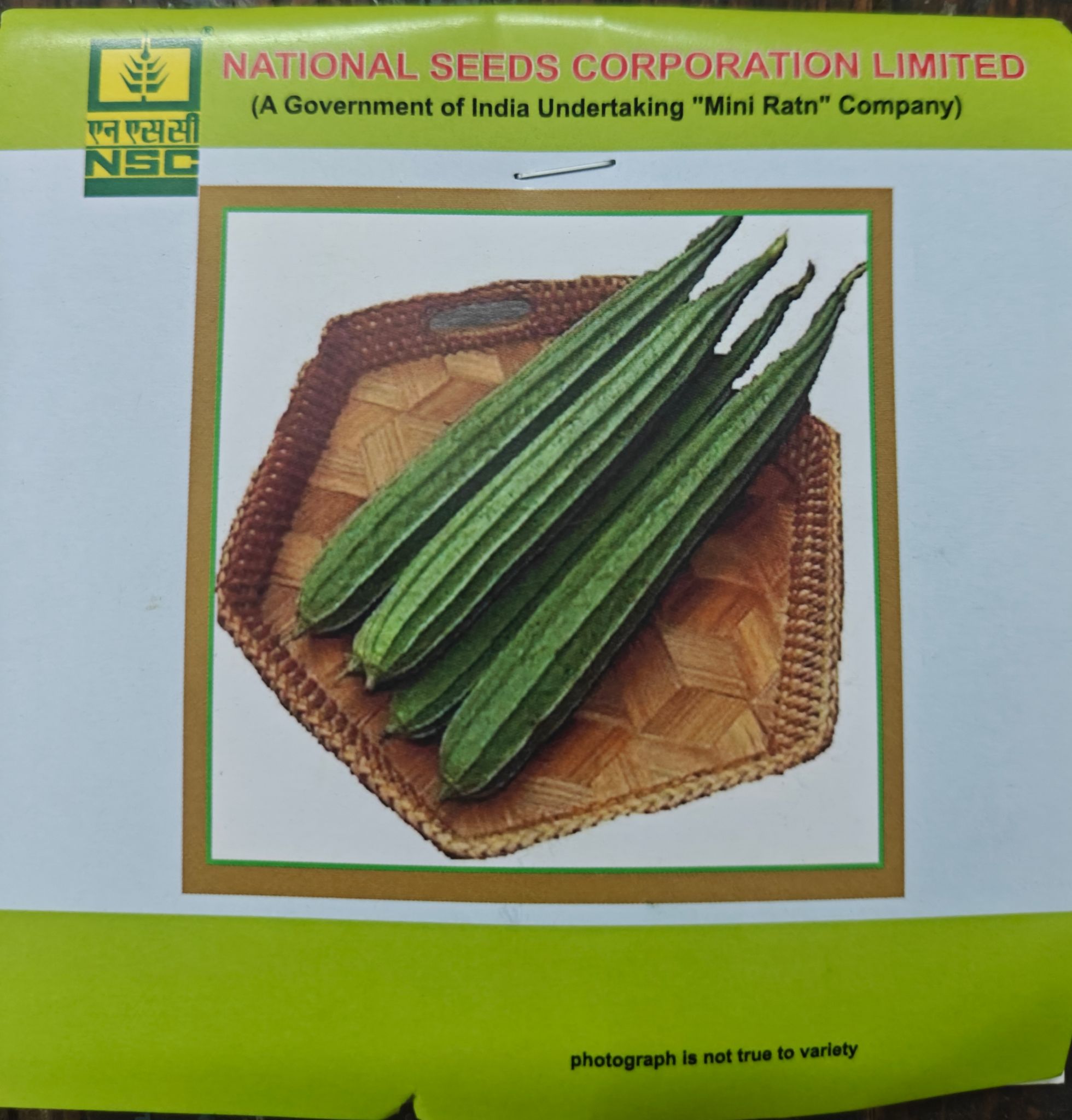 NSC RIDGEGOURD KASHI NANDA