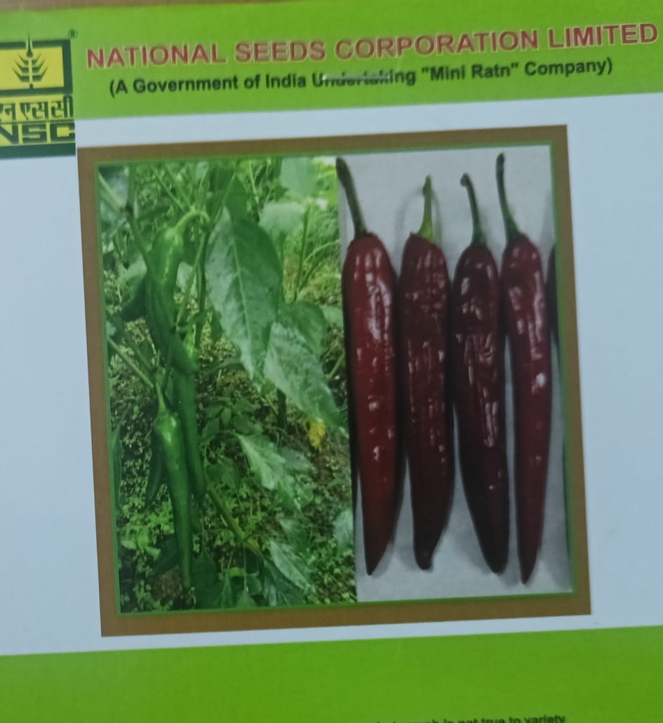 NSC Paprika, KTPL-19 Exotic Vegetable Variety, 1 Gram Truthfully Labelled Seed Pouch