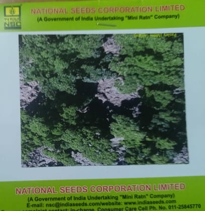 NSC Parsely, Moss Curled Exotic Vegetable Variety, 5 Gram Truthfully Labelled Seed Pouch