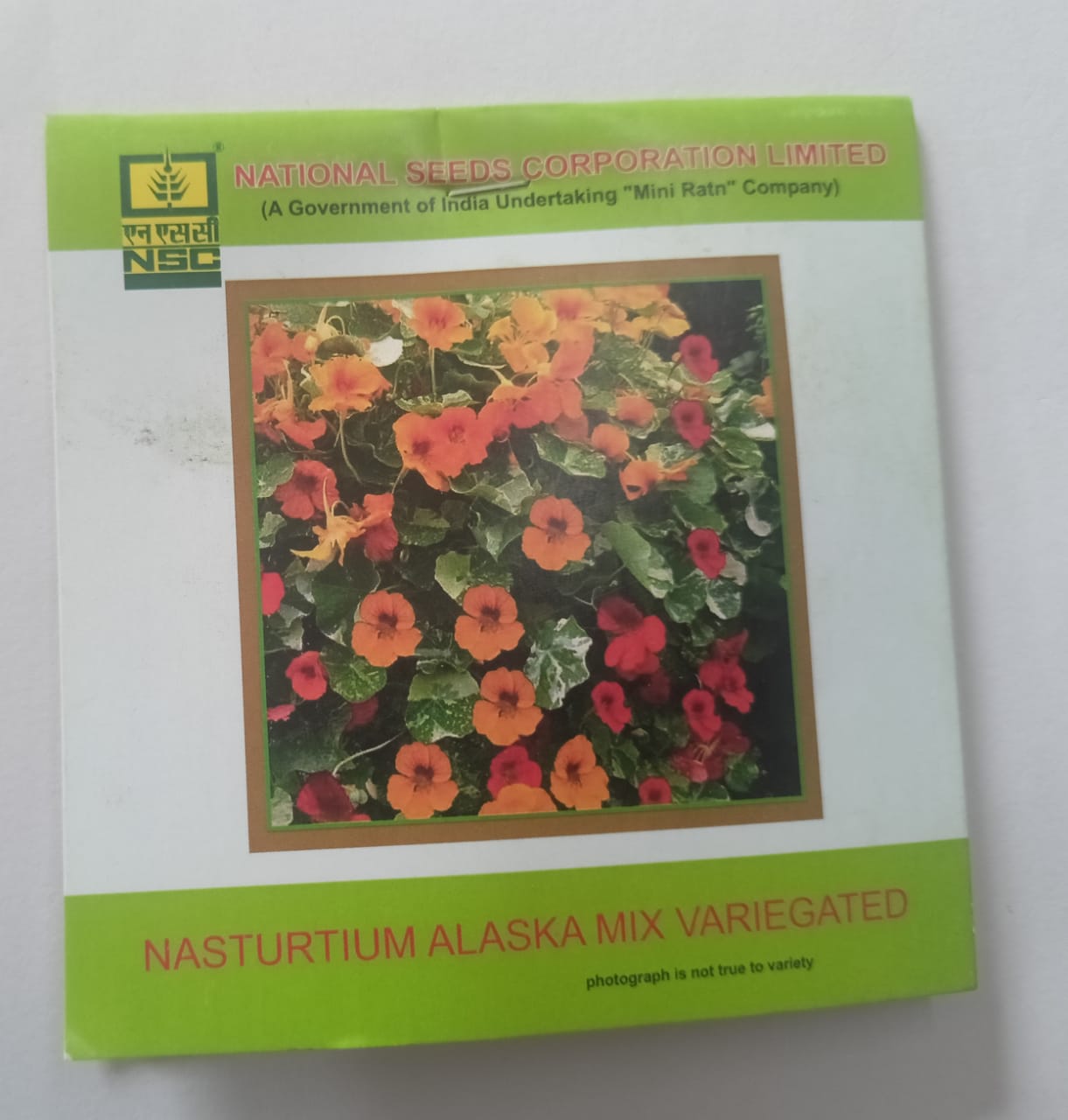 NSC Flower Nasturtium Alaska Mix Variegated 3 Gram Truthfully Labelled Seed Pouch