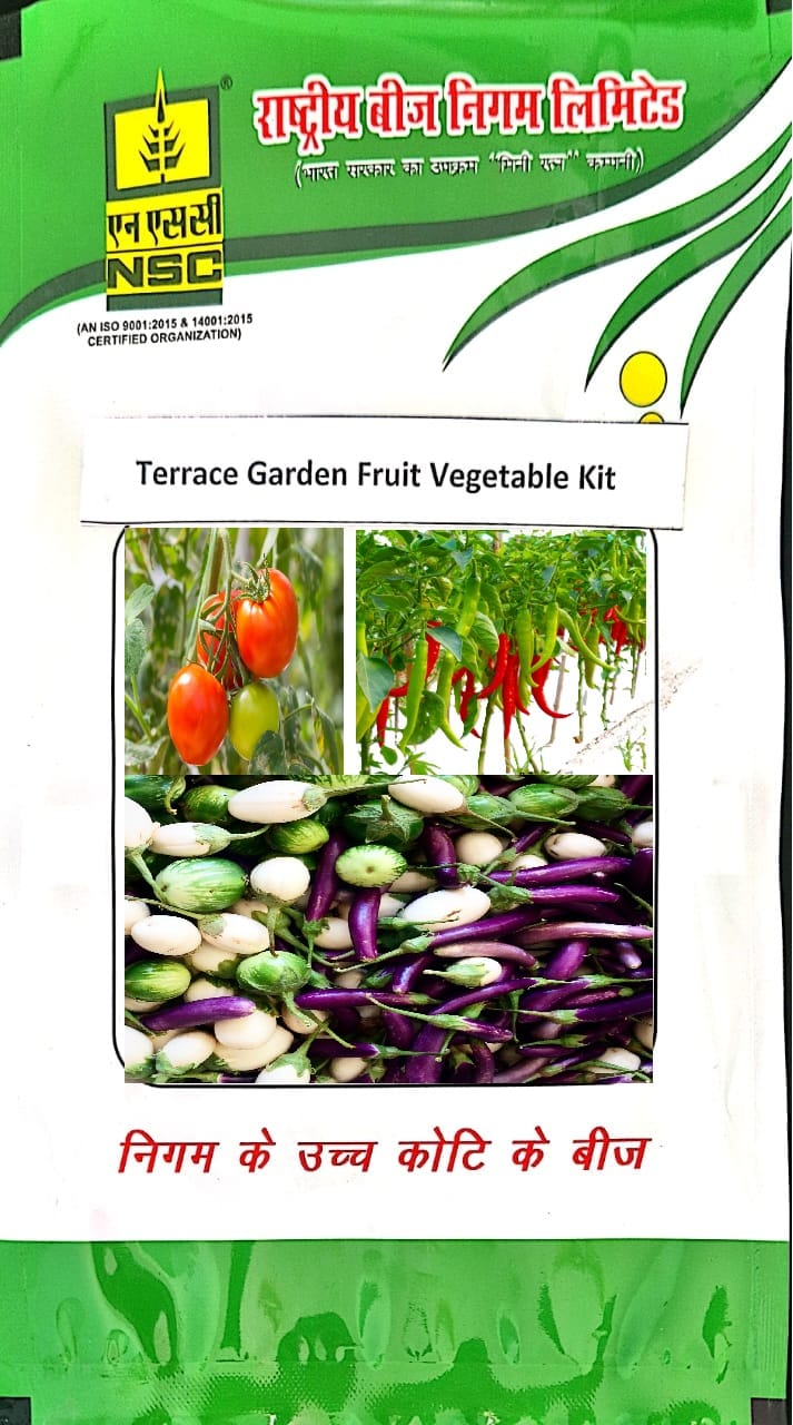 NSC-TERRACE GARDEN FRUIT VEGETABLE KIT