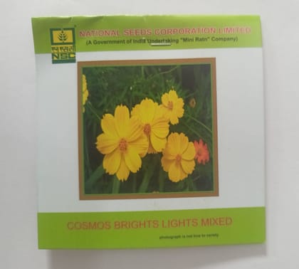 NSC Flower Cosmos Brights Lights Mixed 3 Gram Truthfully Labeled Seed Pouch