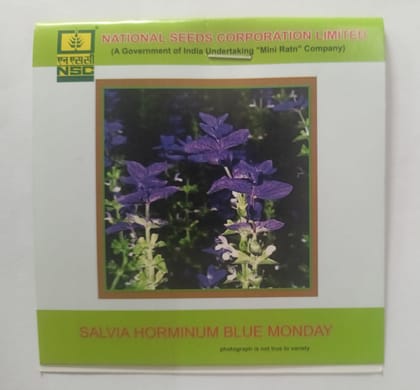 NSC Flower Salvia Horminum Blue Monday 3 Gram Truthfully Labeled Seed Pouch