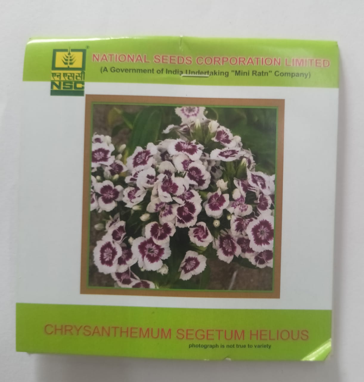 NSC Flower Chrysanthemum Segetum Helious 3 Gram Truthfully Labelled Seed Pouch