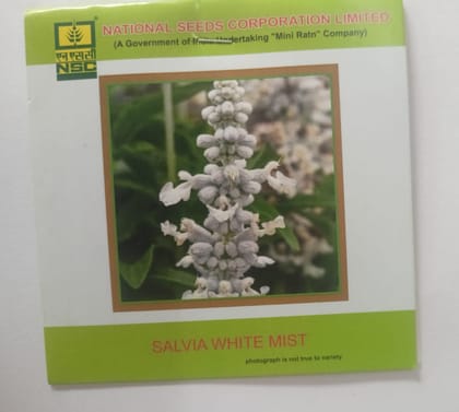 NSC Flower Salvia White Mist 3 Gram Truthfully Labeled Seed Pouch