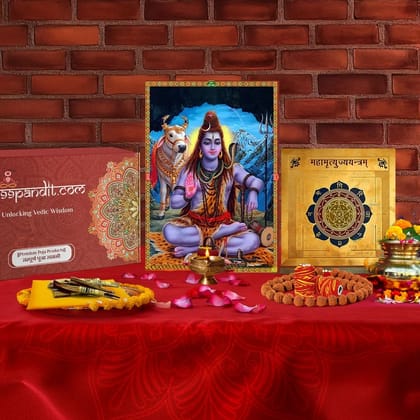 Mahamrityunjay Path Puja Samagri Kit 18 Items