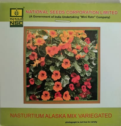 Nasturtium Alaska Mix variegated
