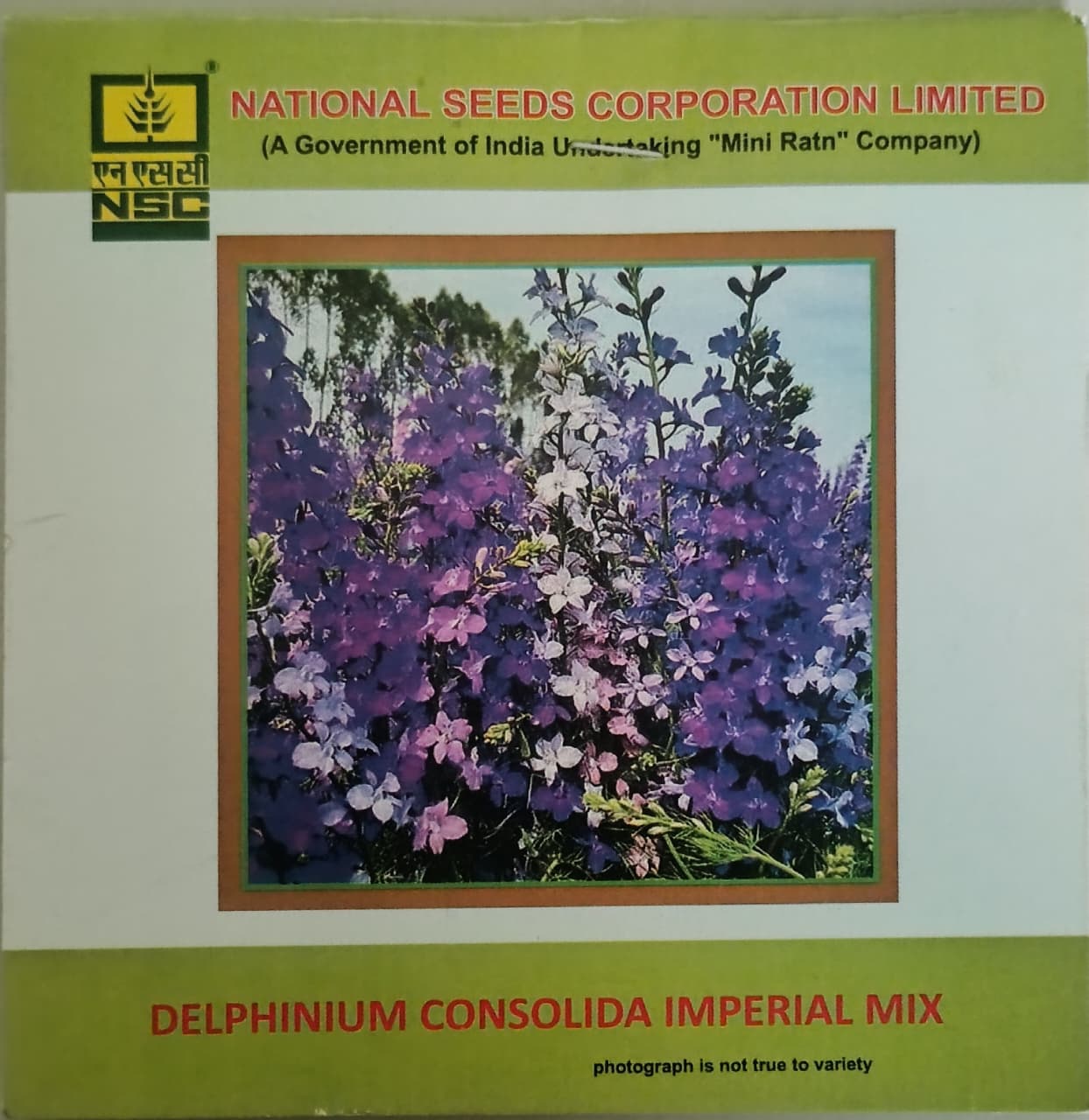 Delphinium consolida Imperial Mix