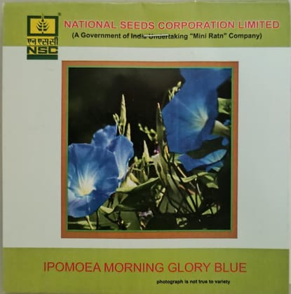 Ipomoea Morning Glory Blue