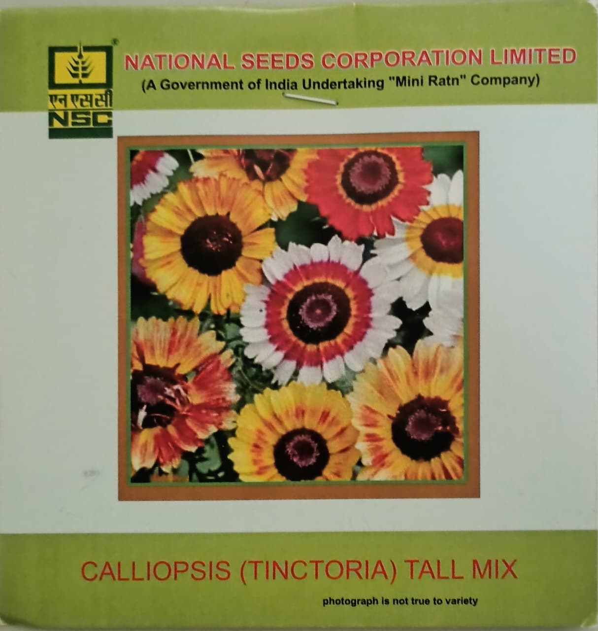 Calliopsis (Tinctoria) Tall Mix