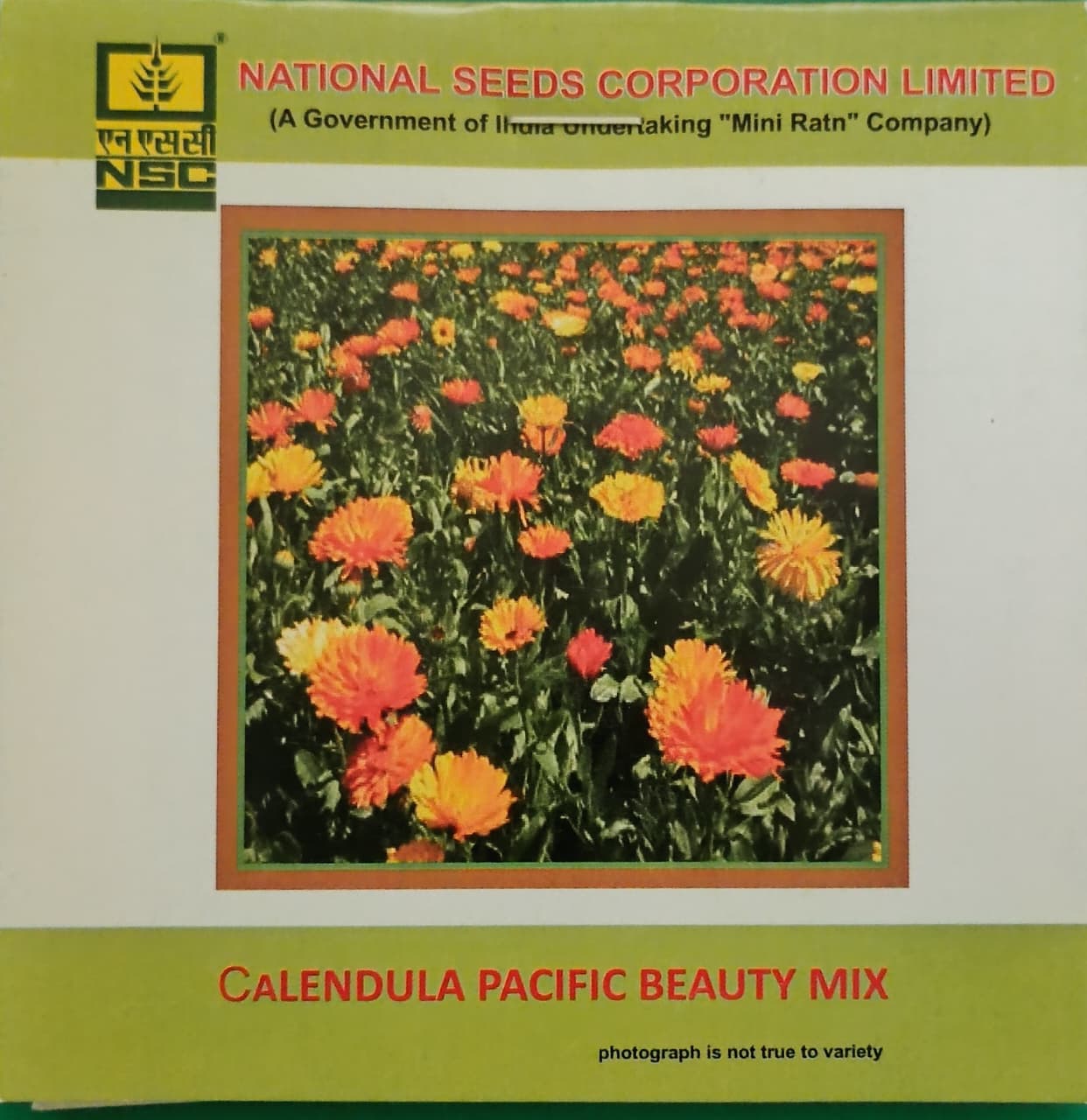 Calendula Pacific Beauty mix