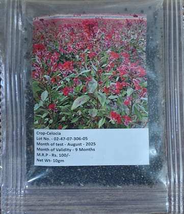NSC Celosia Flower Seed
