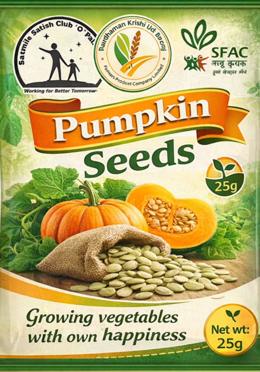 Premium Pumpkin Seeds- 25gm