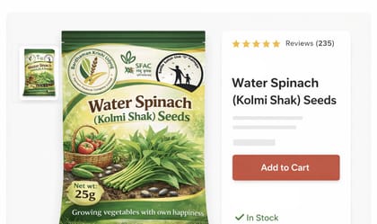 Premium Water spinach Seeds- 25gm