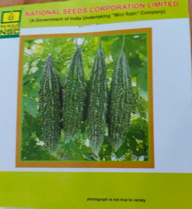NSC Bitter Gourd – Kashi Pratishtha