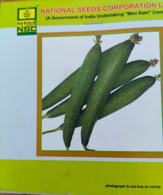 NSC Sponge Gourd Variety – Kashi Jyoti Seeds