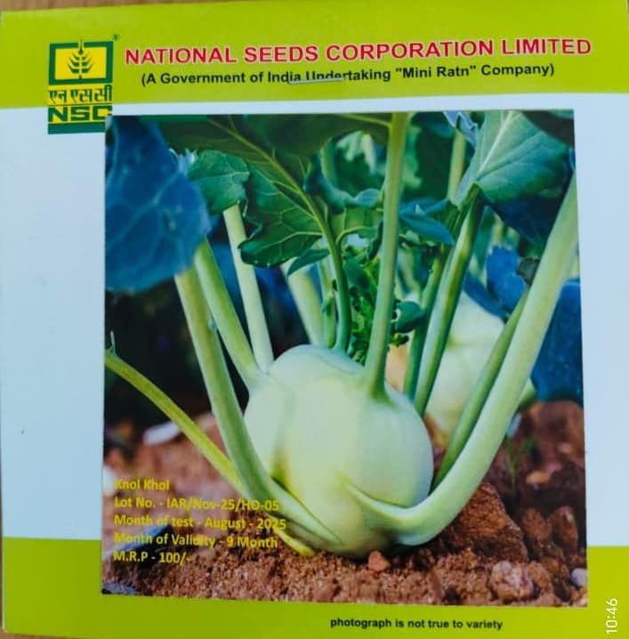 NSC Knol-Knol – White Veena Seeds