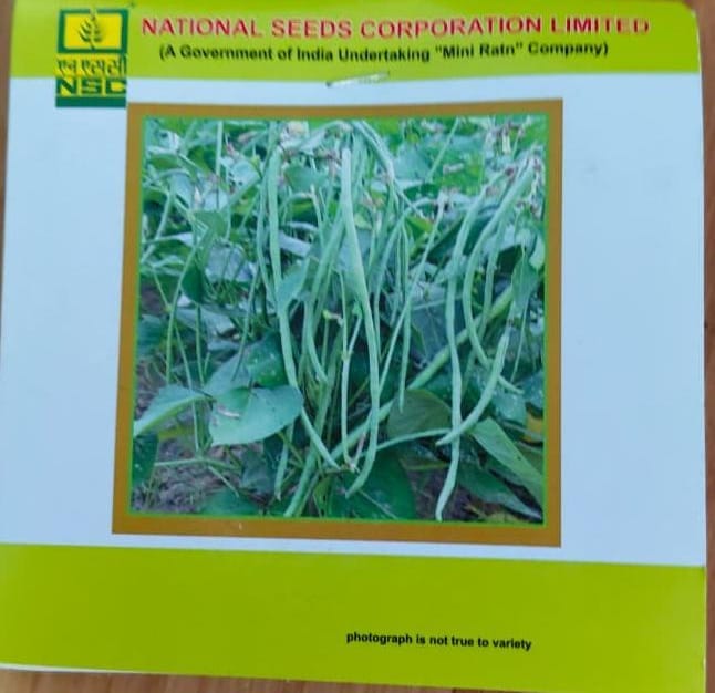Cowpea – Kashi Nidhi TL