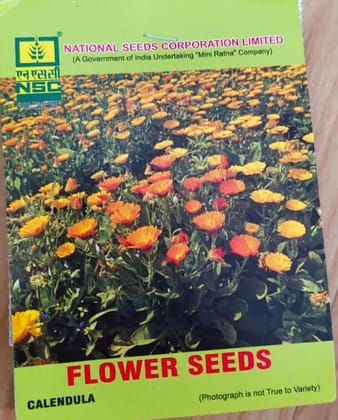 NSC Calendula Seeds - (5 gms)