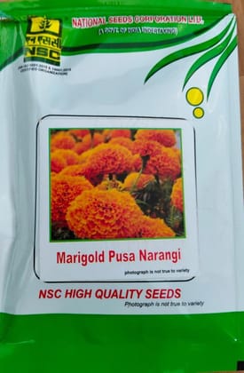 Marigold (Pusa Narangi)