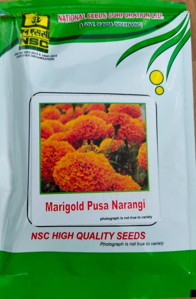 Marigold (Pusa Narangi)