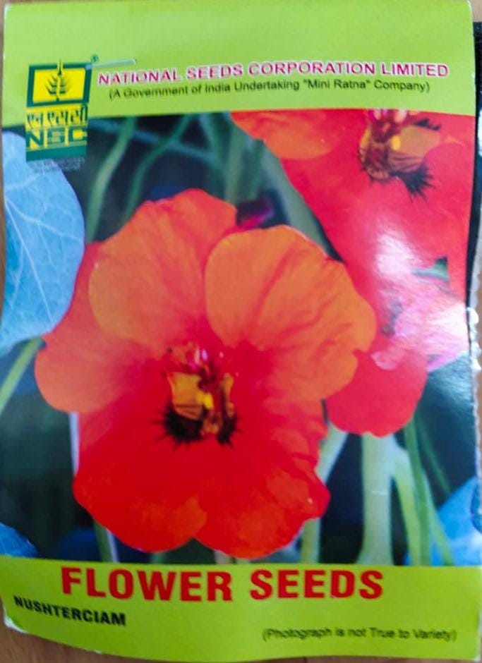 NSC – Nushterciam(5 Gms Seeds)