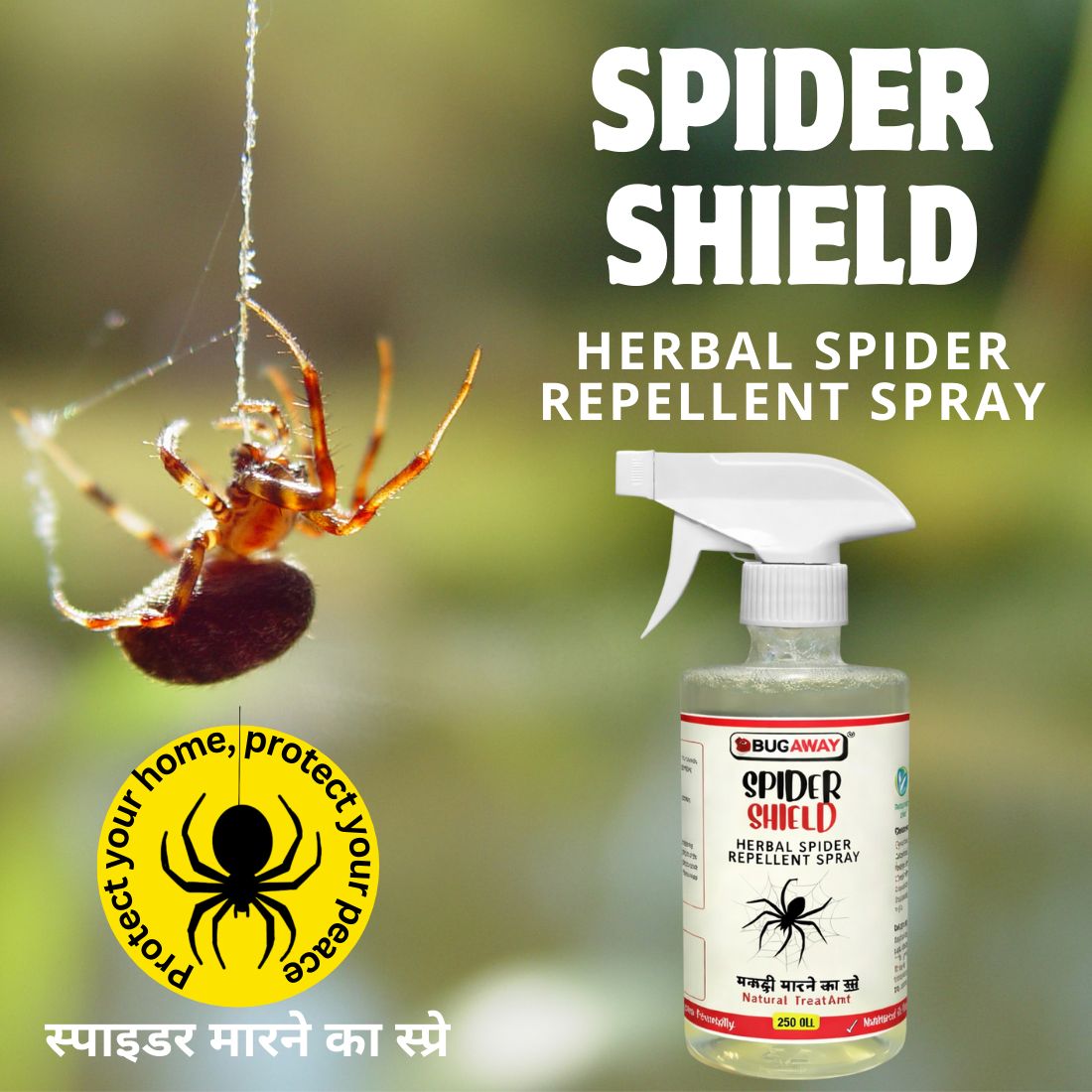 BUGAWAY Spider Shield | Herbal Spider Repellent Spray | Makdee Marne Ka Spray - 250 ML (Pack Of 1)