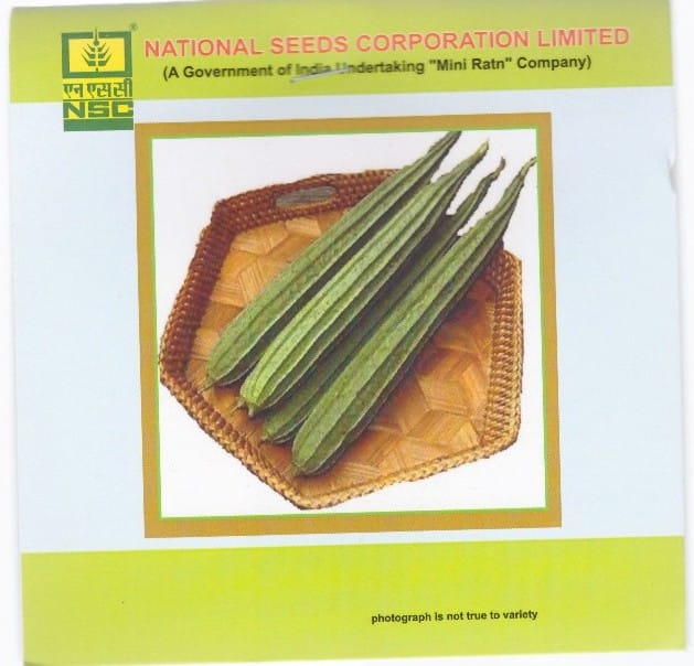NSC Ridge gourd Kashi Nanda Variety, 5g Truthful Labelled Seed