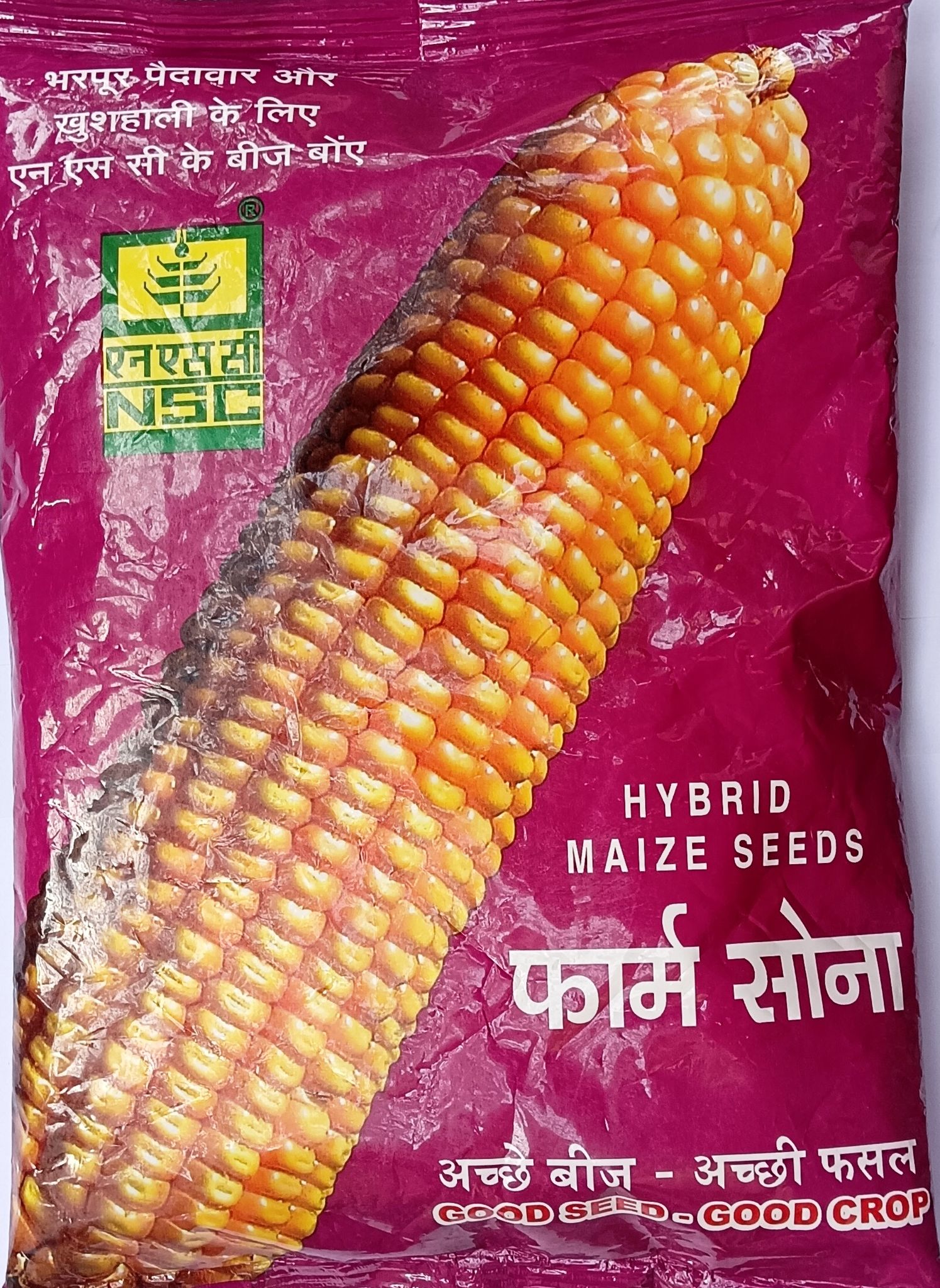 HYBRID MAIZE BIO-9544